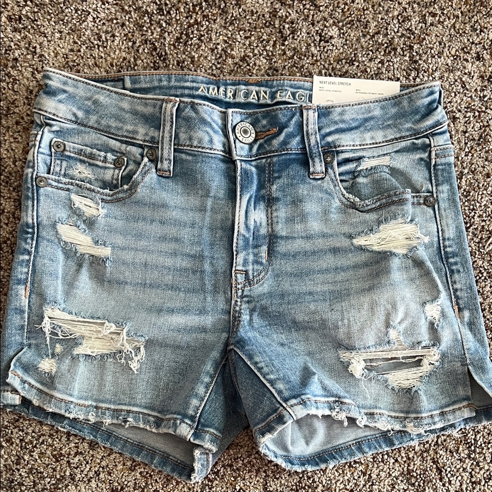 American Eagle Outfitters Light Blue Distressed Jean Shorts